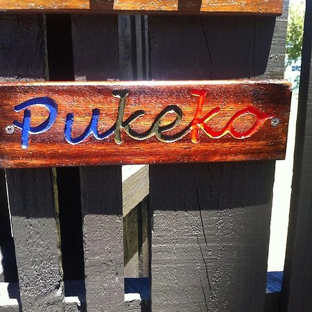 Apartament Pukeko On Bay Tauranga Zewnętrze zdjęcie